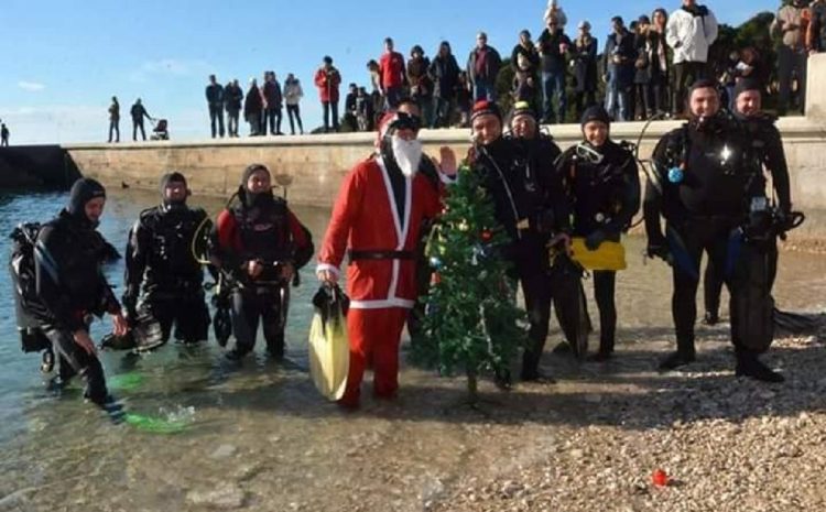 Immersione natalizia dell’albero di Natale e benvenuto del Babbo Natale Subacqueo